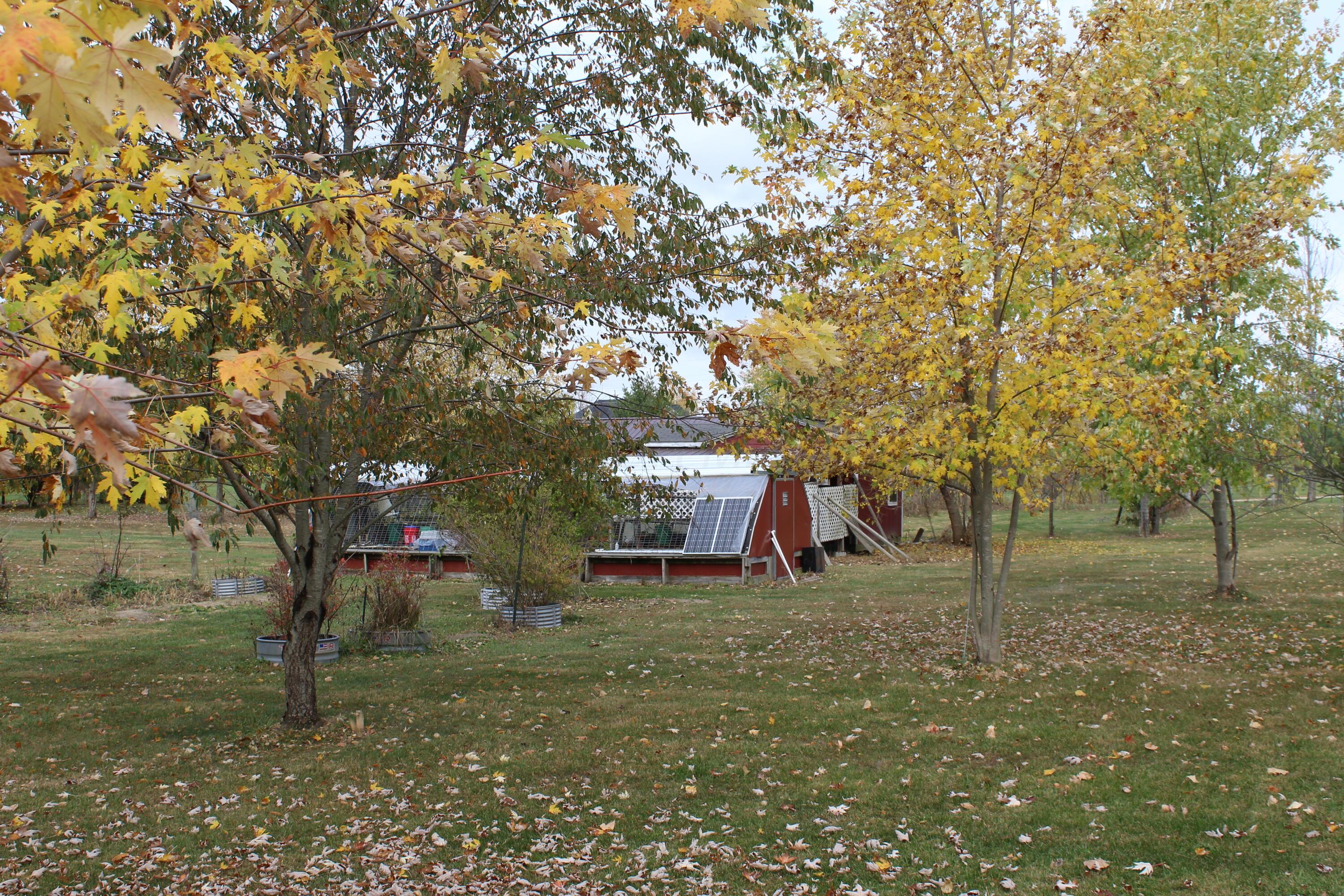 11310 Dingess Road Circleville, OH 43113 - Photo 38 of 44 IMG_1065