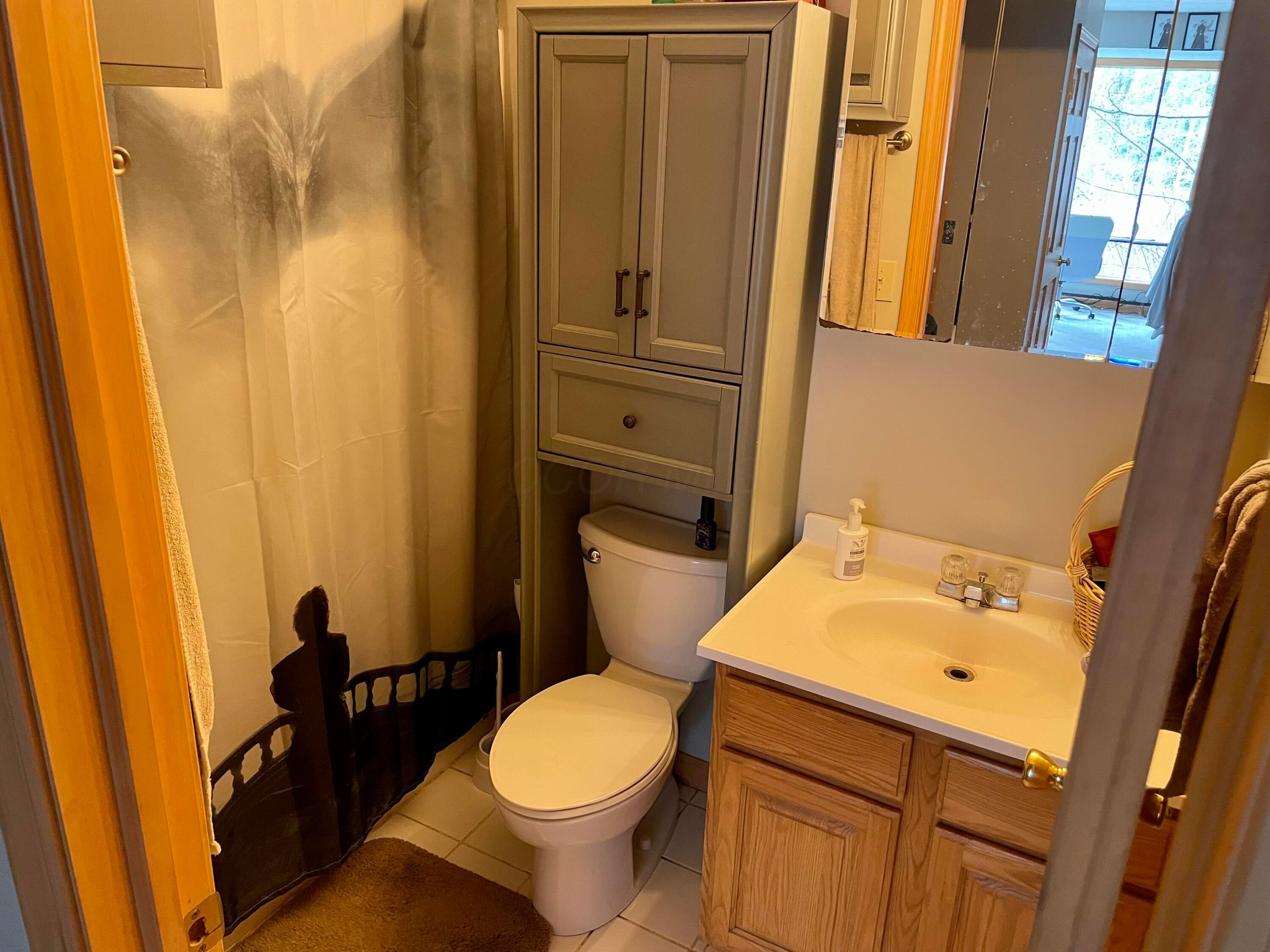 1665 Alpine Drive Bremen, OH 43107 - Photo 21 of 34 LowerLevel Bathroom