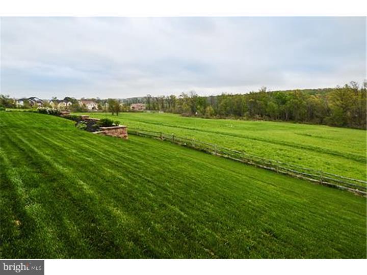 3822 Green Ridge Road Furlong, PA 18925 - Photo 24 of 25 View in Back