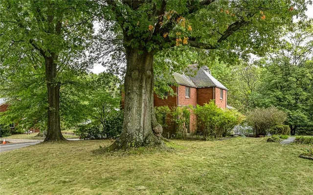 a view of a yard in front of a house with large trees