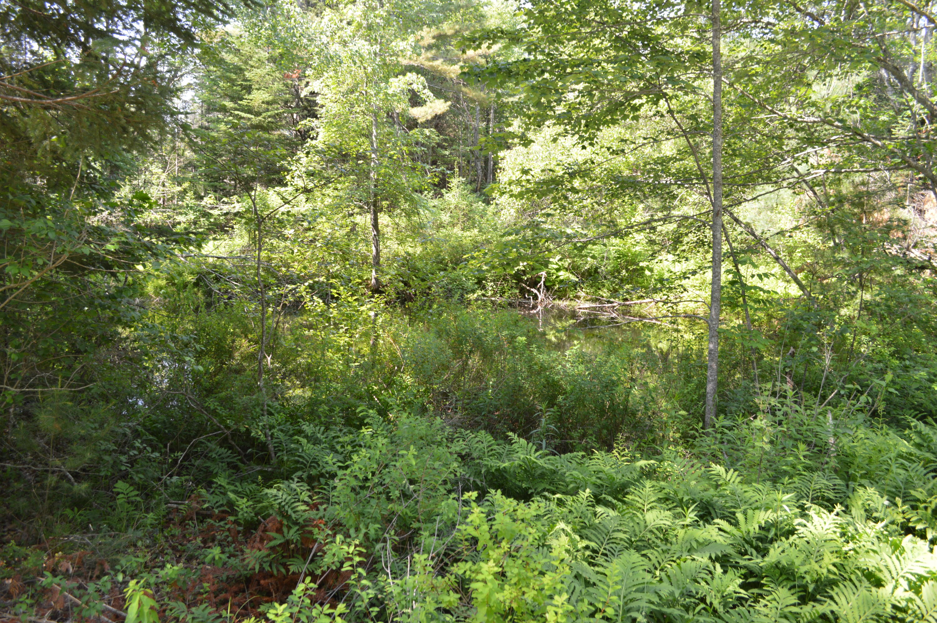 196 Chapel Road Waldoboro, ME 04572 - Photo 13 of 20 .