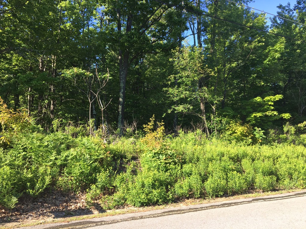 0 Lot 4 Central Tree Road Rutland, MA 01543 - Photo 1 of 1