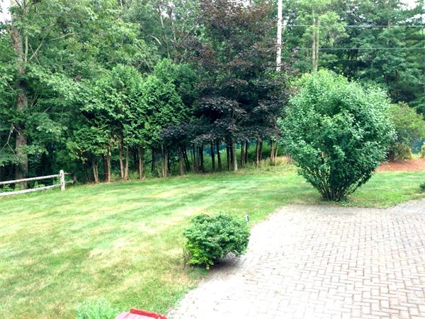 81 R Tenney Road Westford, MA 01886 - Photo 18 of 18 a backyard of a house with lots of green space