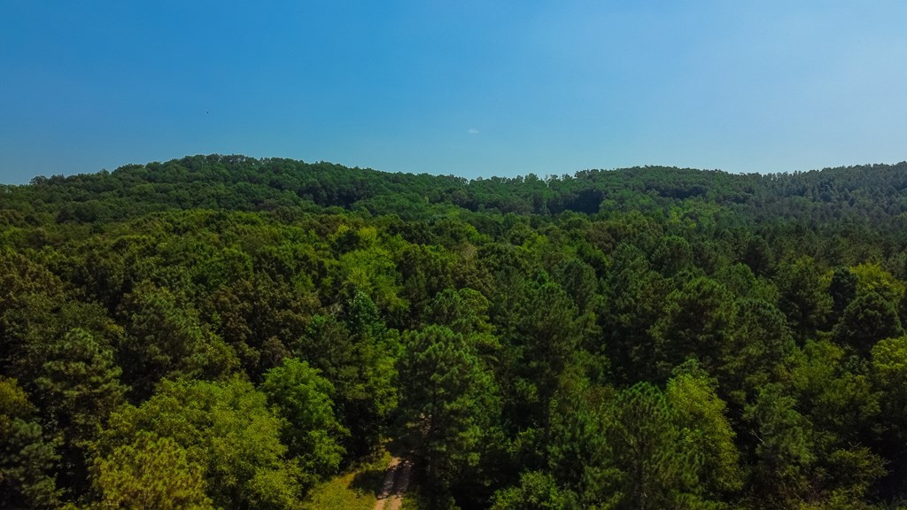 351 County Road Sweetwater, TN 37874 - Photo 5 of 14