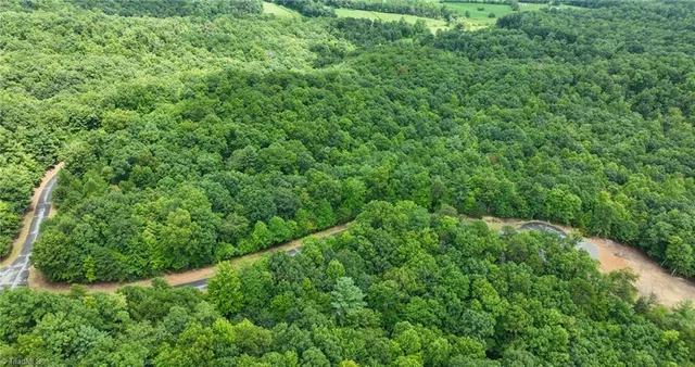 $35,500 | Lot 158 Carriage House Trail, McGrady, NC 28649