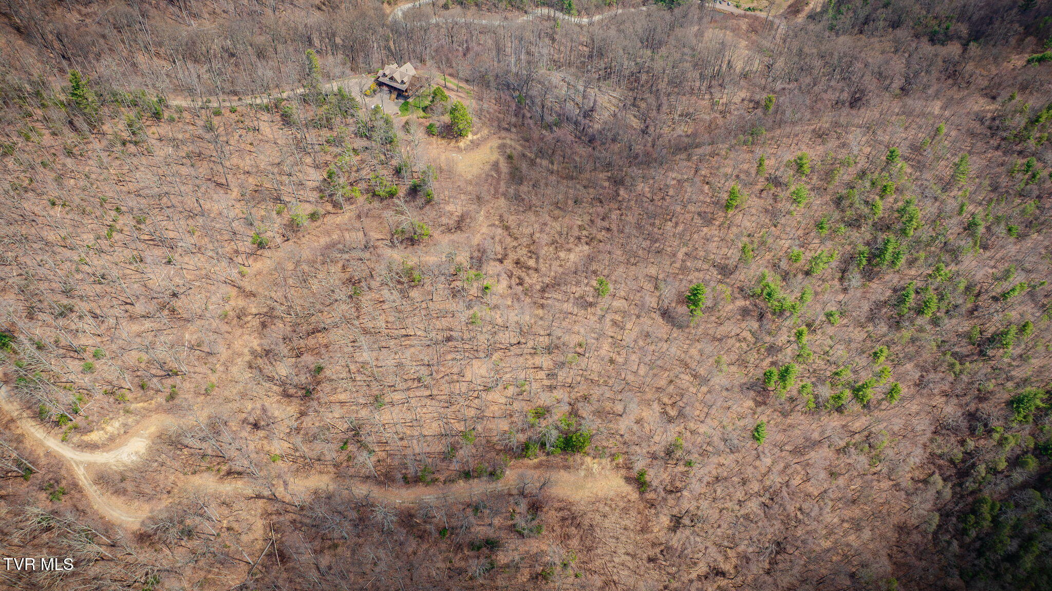 614 Tulip Poplar Trail, Unit 63 Butler, TN 37640 - Photo 19 of 20 115