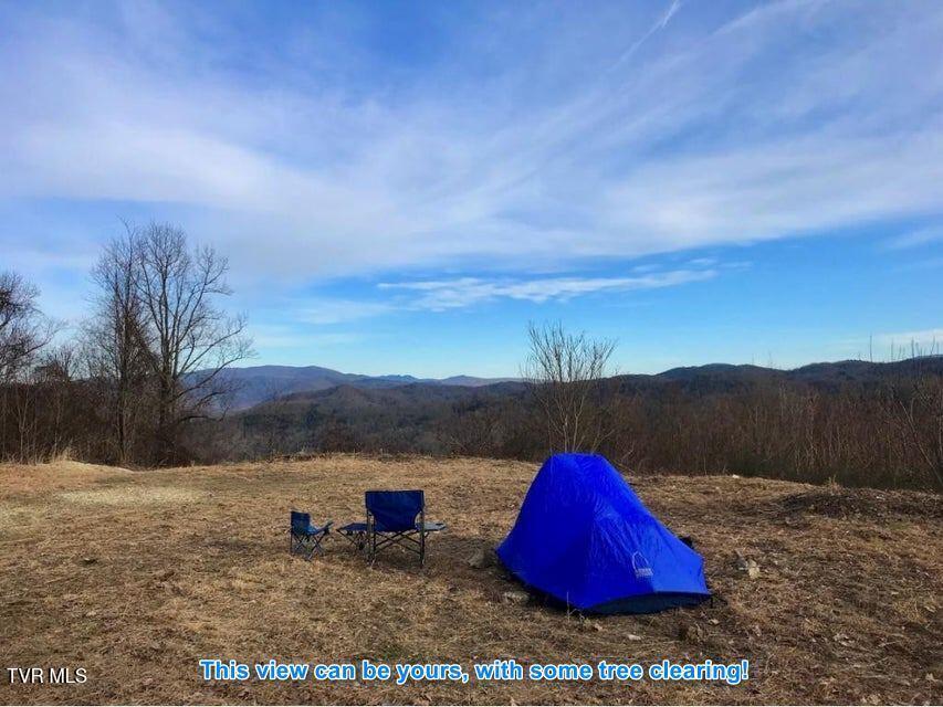 614 Tulip Poplar Trail, Unit 63 Butler, TN 37640 - Photo 2 of 20 Lot 63 Tulip Poplar