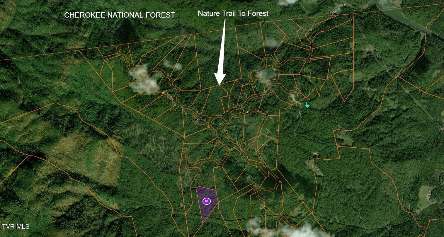 614 Tulip Poplar Trail, Unit 63 Butler, TN 37640 - Photo 4 of 20 Nature Trail National Forest