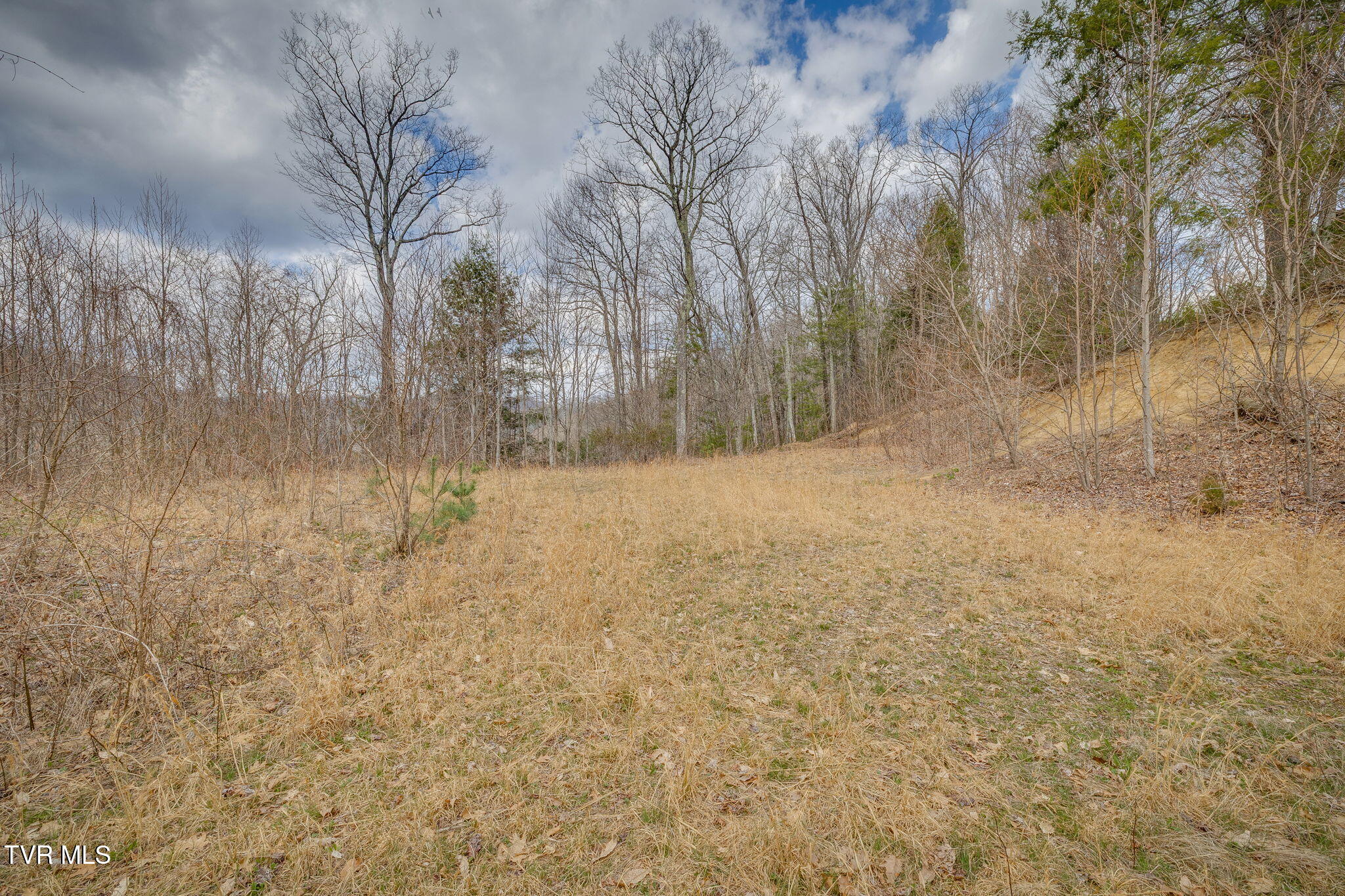 614 Tulip Poplar Trail, Unit 63 Butler, TN 37640 - Photo 5 of 20 002