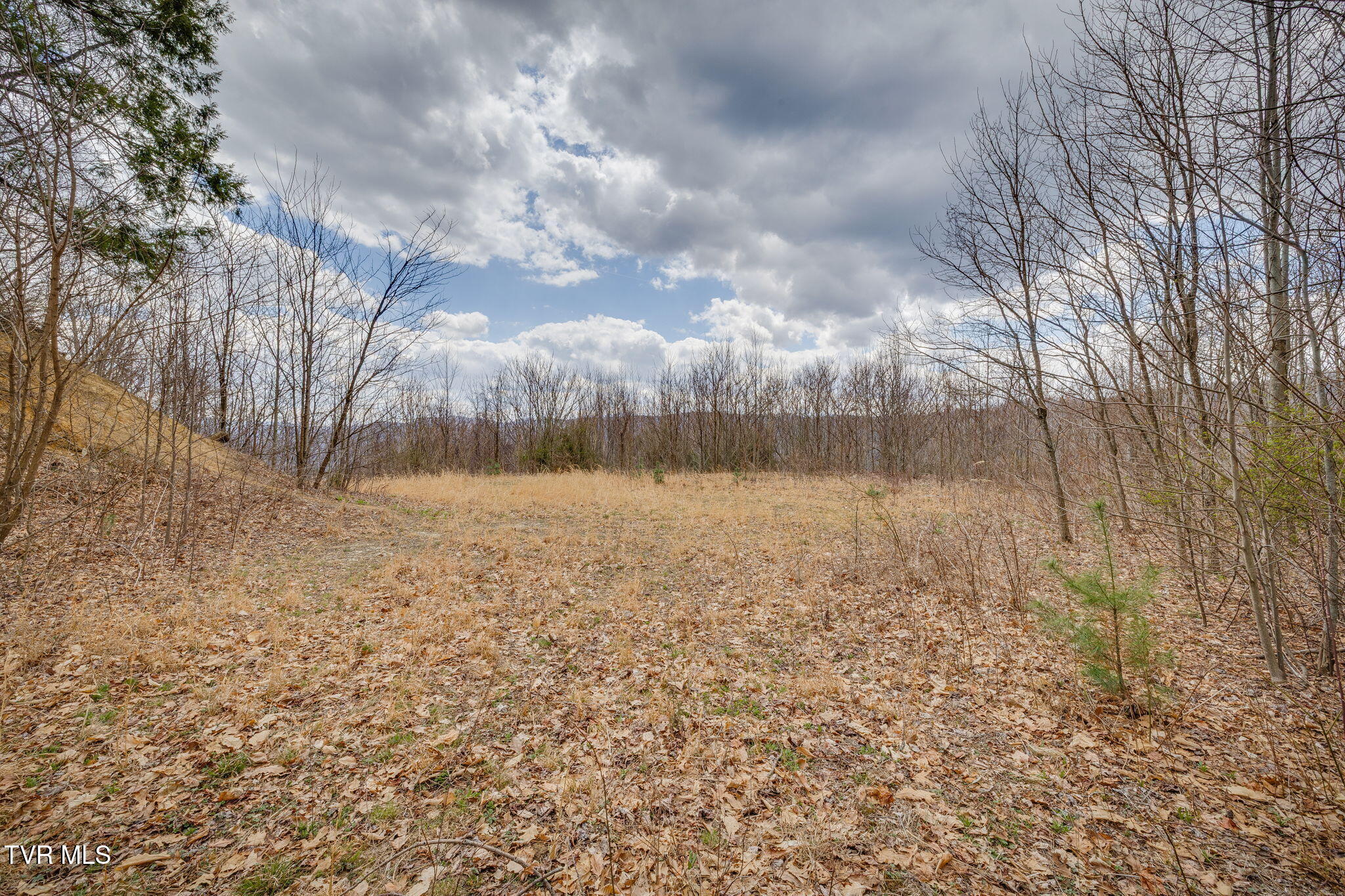 614 Tulip Poplar Trail, Unit 63 Butler, TN 37640 - Photo 6 of 20 005