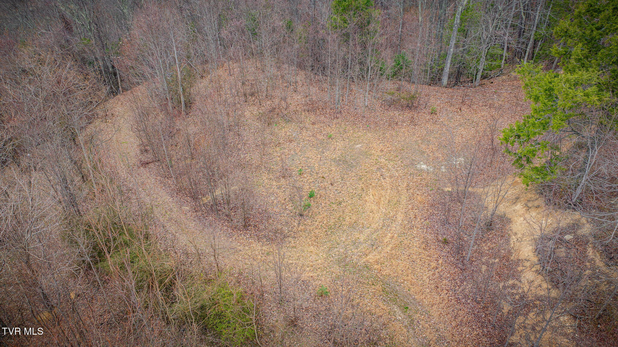 614 Tulip Poplar Trail, Unit 63 Butler, TN 37640 - Photo 7 of 20 101