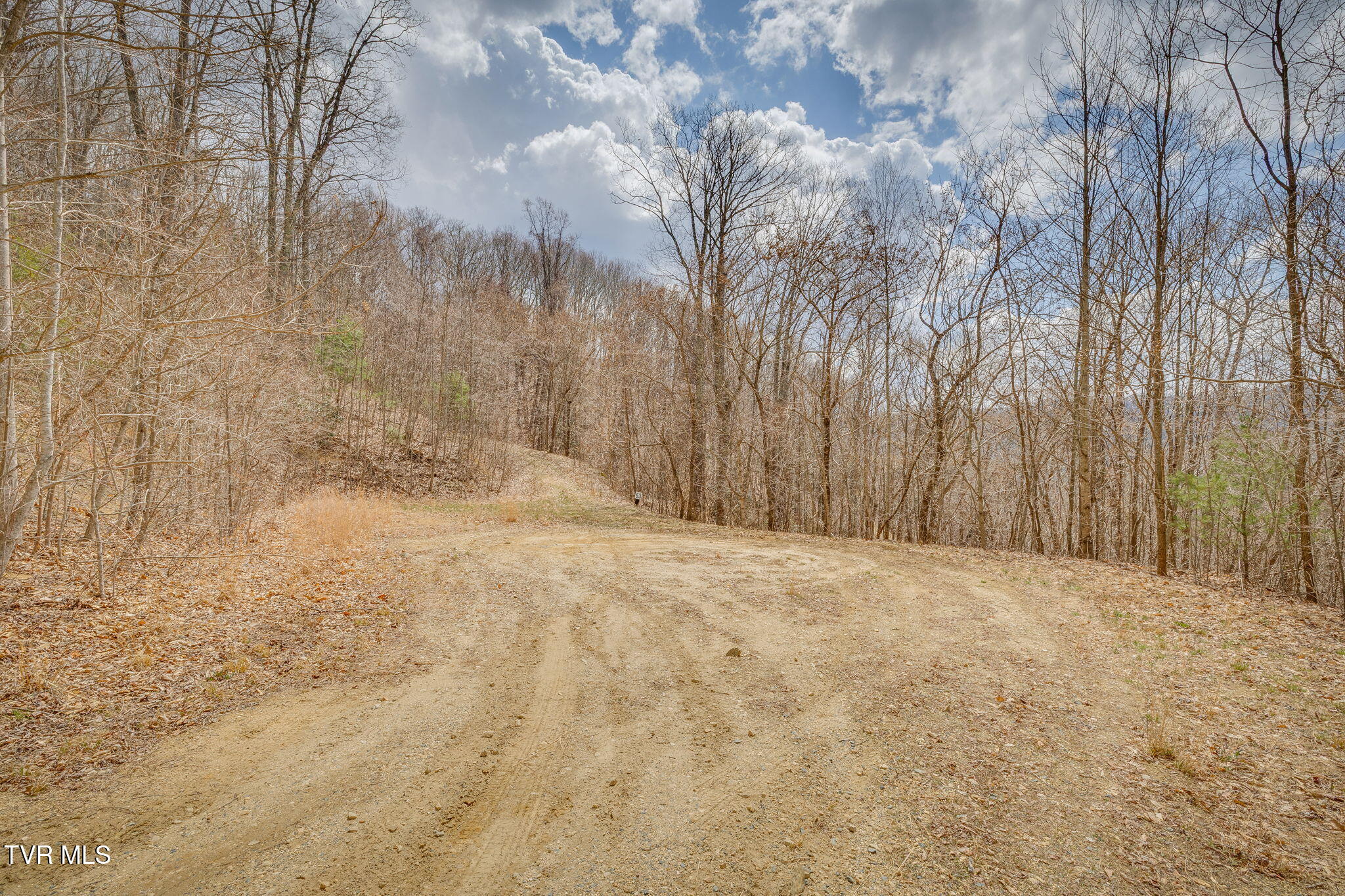 614 Tulip Poplar Trail, Unit 63 Butler, TN 37640 - Photo 8 of 20 001