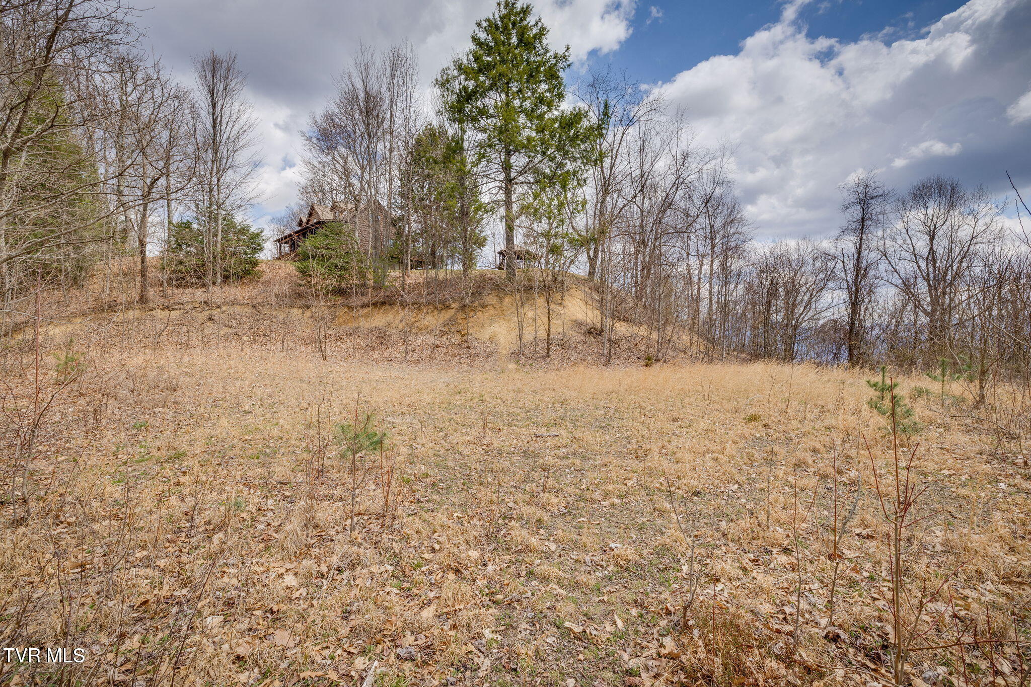 614 Tulip Poplar Trail, Unit 63 Butler, TN 37640 - Photo 9 of 20 004