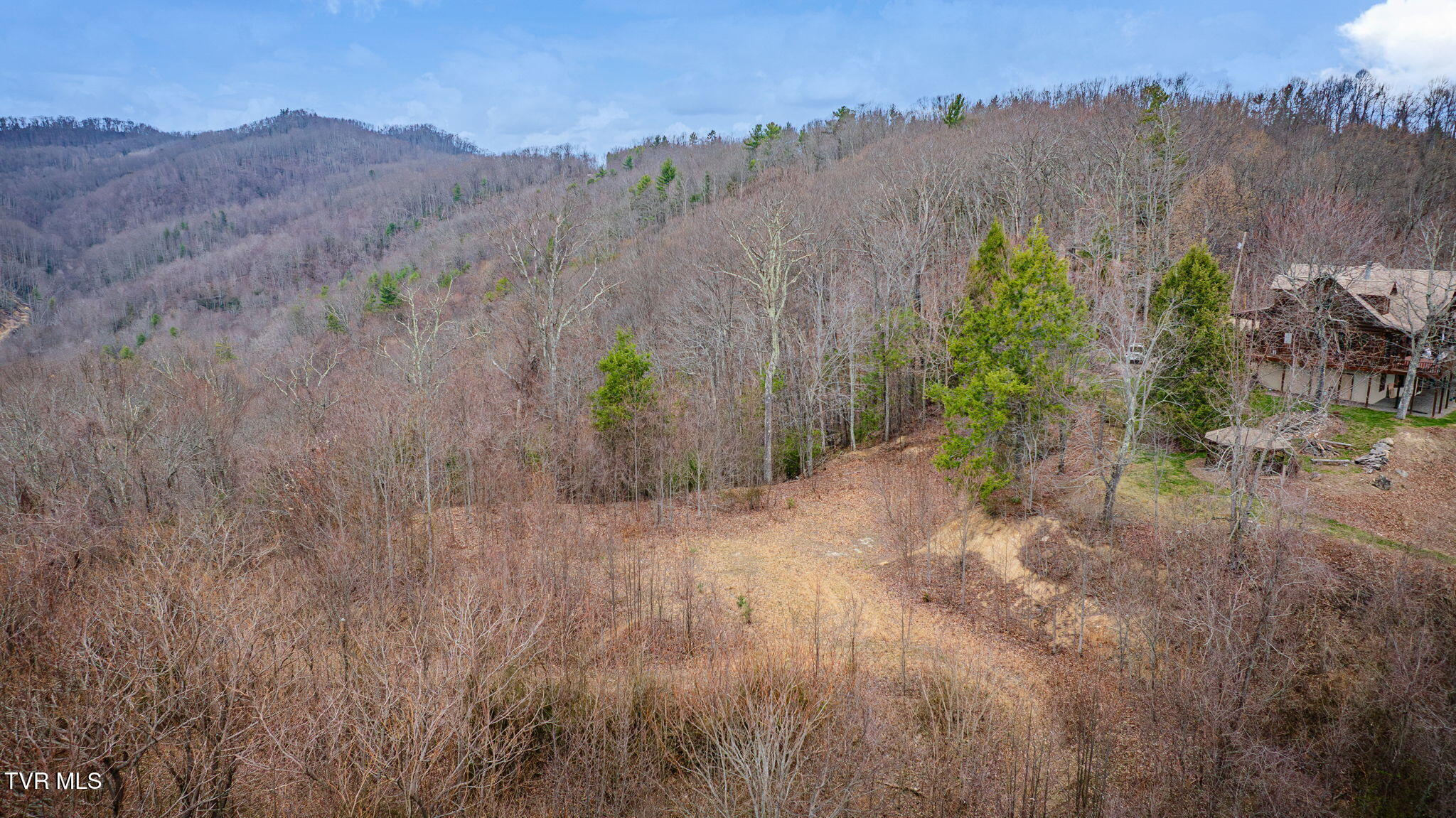 614 Tulip Poplar Trail, Unit 63 Butler, TN 37640 - Photo 10 of 20 102