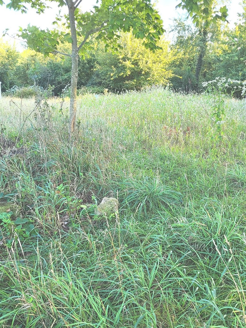 14-28 Woodhaven Sublette, IL 61367 - Photo 1 of 3 a view of lake with green space