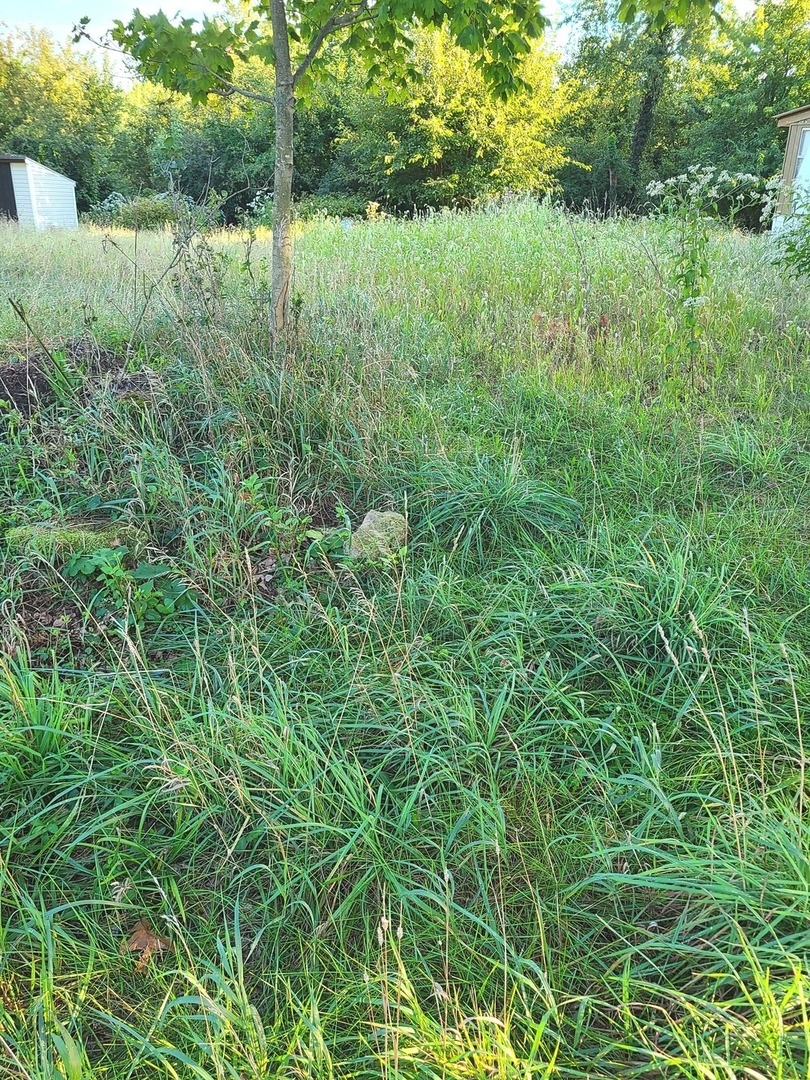 14-28 Woodhaven Sublette, IL 61367 - Photo 2 of 3 a view of a forest with a lake