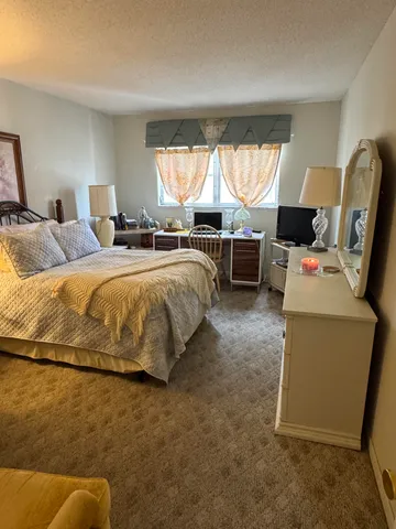 a view of a sink a mirror and potted plant