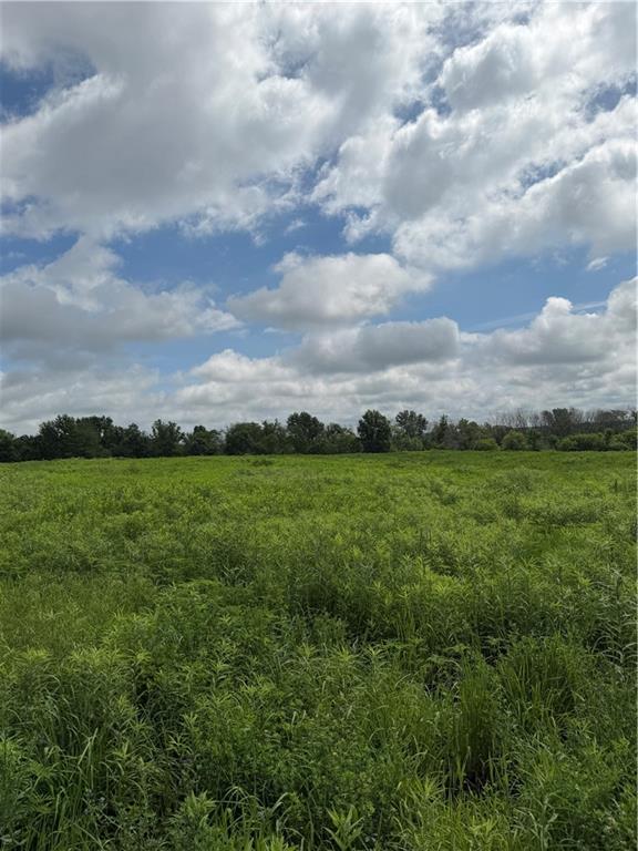 Jump Road Jamesport, MO 64648 - Photo 24 of 33