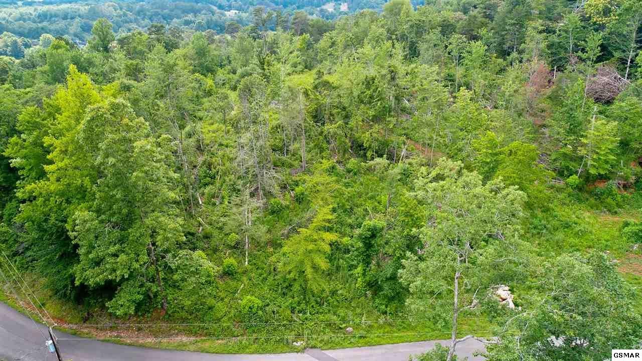 1 Tomahawk Ridge Road Cosby, TN 37722 - Photo 14 of 17 Gallery Image 14