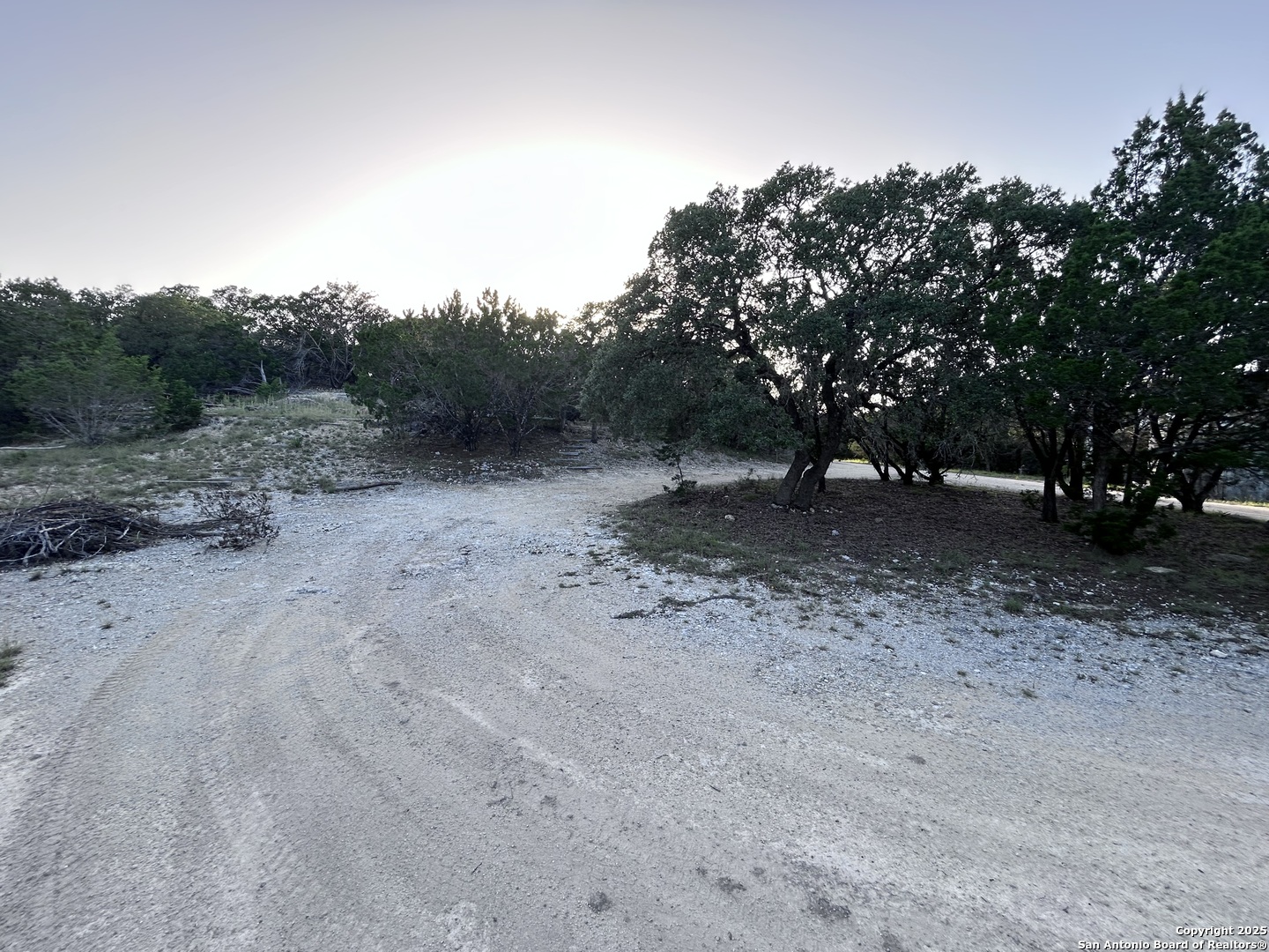 320 Frontier Lane Bandera, TX 78003 - Photo 3 of 11 a view of a forest with trees in the background