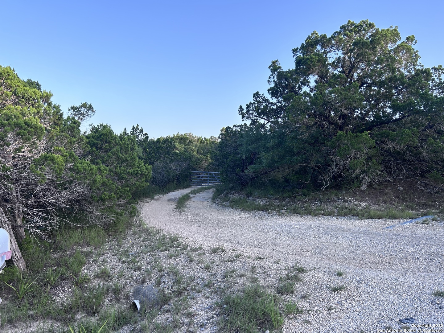 320 Frontier Lane Bandera, TX 78003 - Photo 4 of 11 a view of a dirt road with a trees in the background