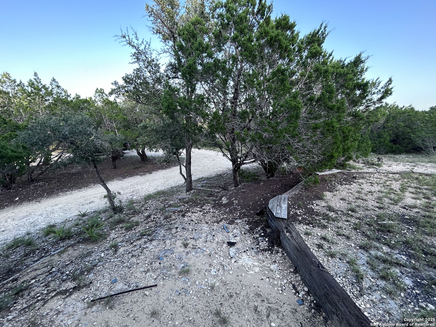 320 Frontier Lane Bandera, TX 78003 - Photo 5 of 11 a view of a yard with a tree