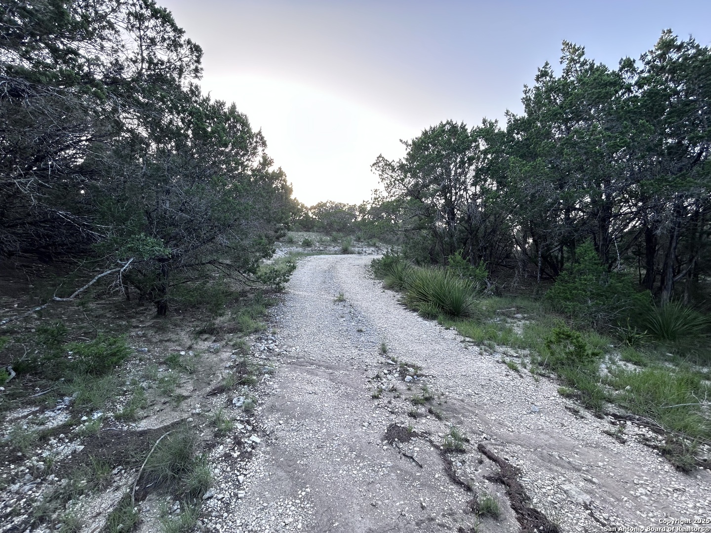 320 Frontier Lane Bandera, TX 78003 - Photo 7 of 11 a view of a dirt road with trees in the background