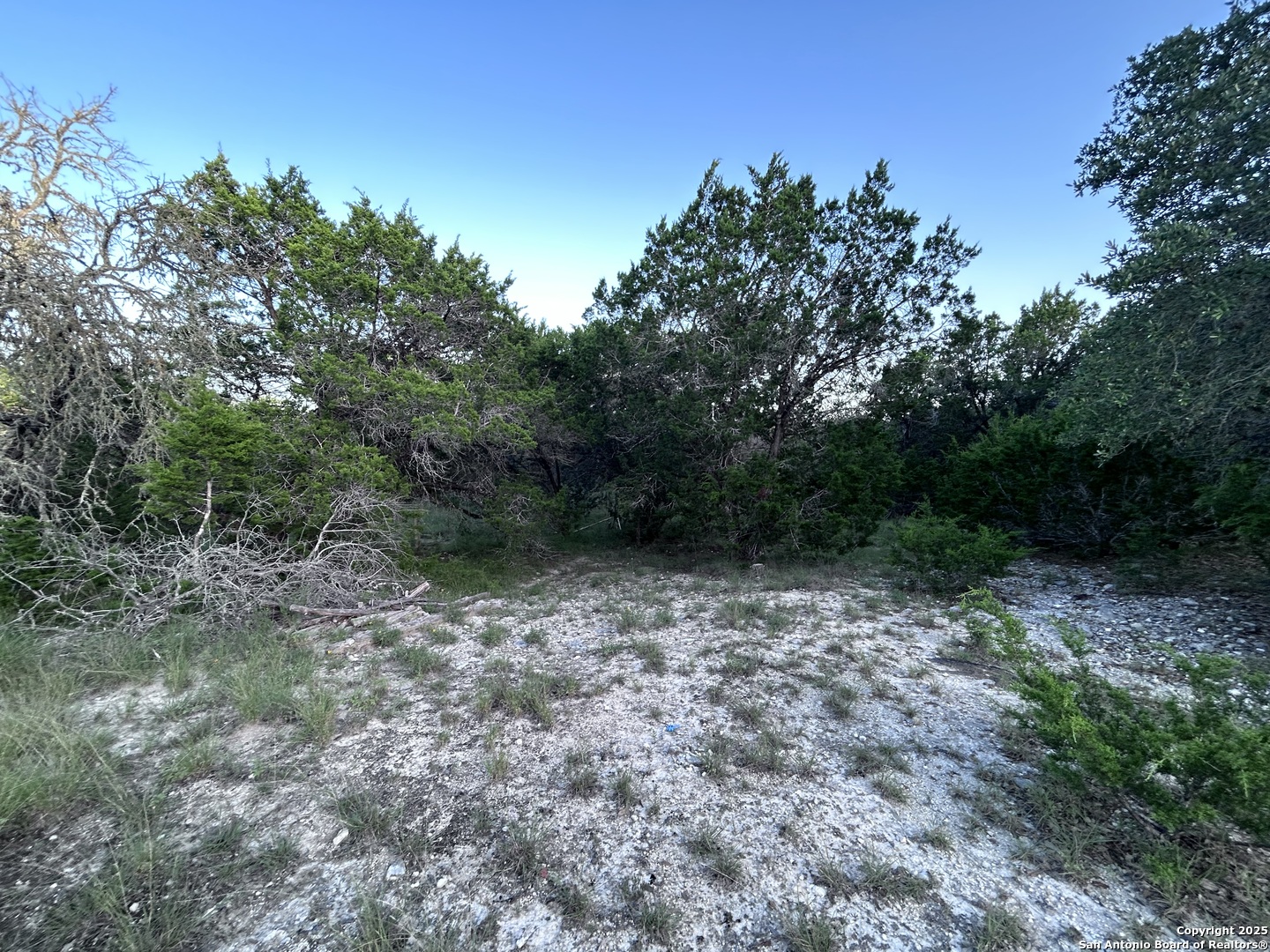 320 Frontier Lane Bandera, TX 78003 - Photo 10 of 11 a big yard with lots of green space and deers