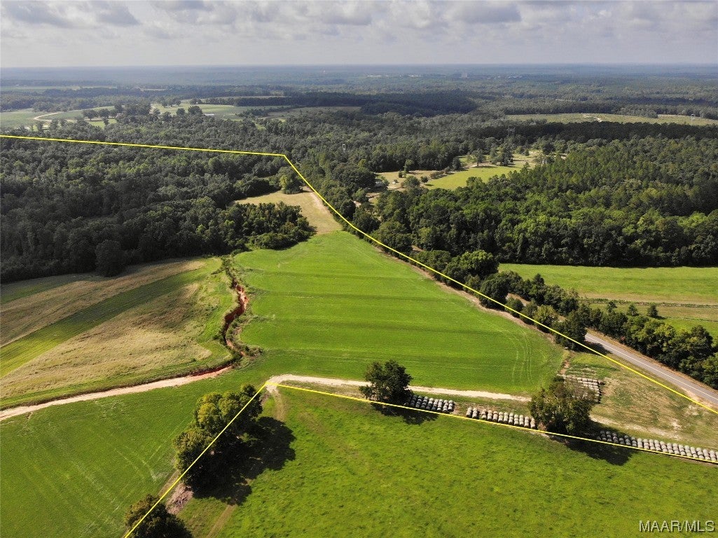 318.5-acre Goose Hollow Road Geneva, AL 36340 - Photo 11 of 50 Gallery Image 11