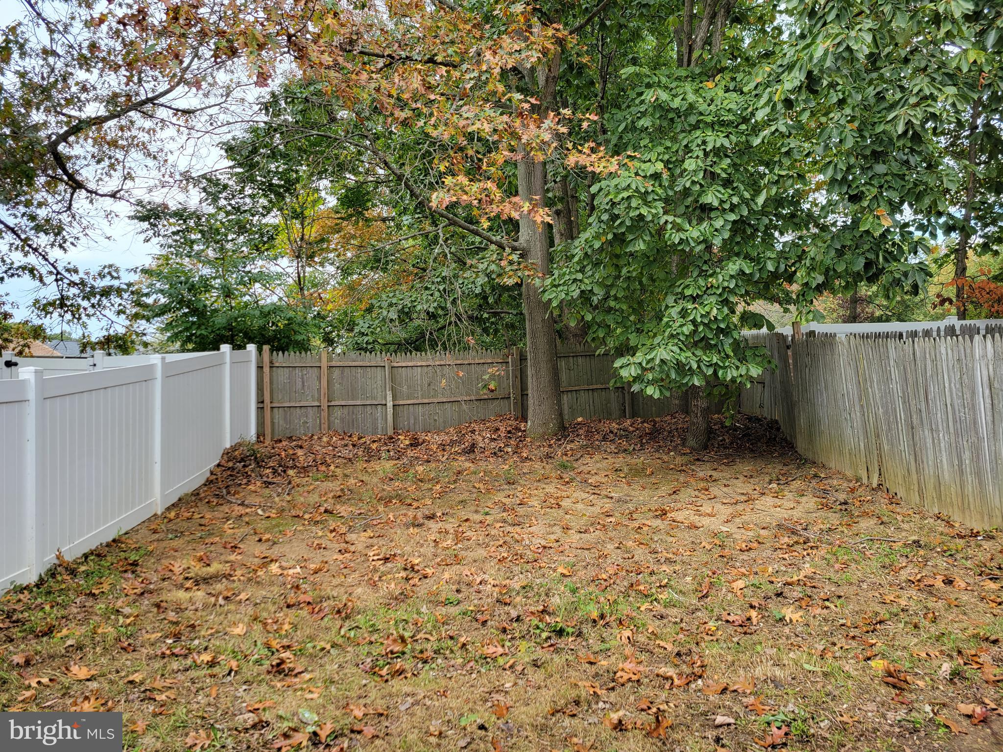 73 Edinshire Road Sicklerville, NJ 08081 - Photo 17 of 17 Rear Yard