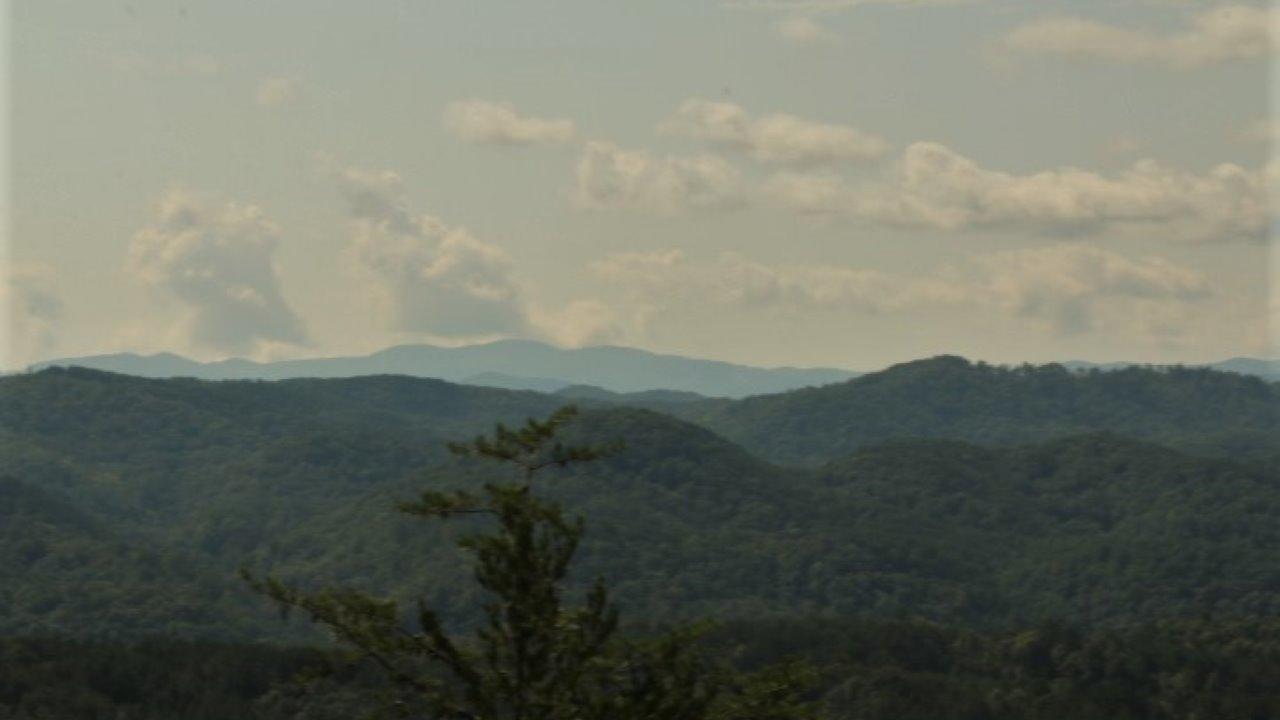 1 Wiggins Road Tellico Plains, TN 37385 - Photo 15 of 19 IMG_5056