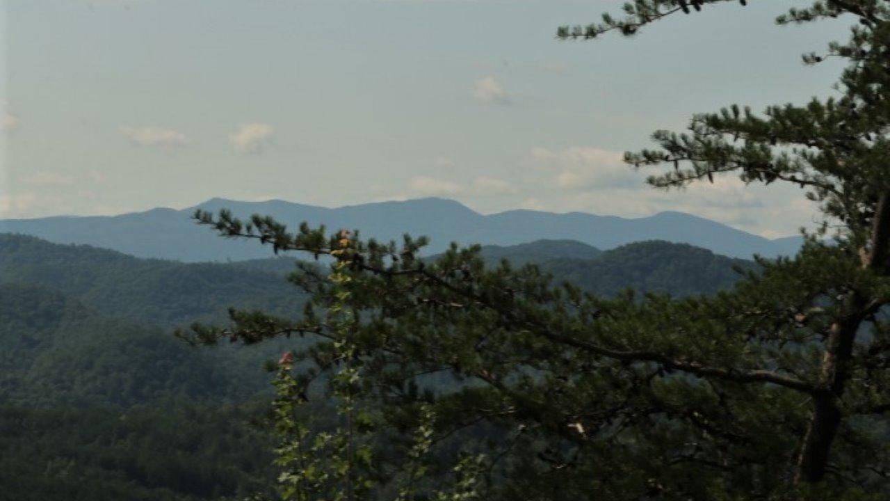 1 Wiggins Road Tellico Plains, TN 37385 - Photo 16 of 19 IMG_5057
