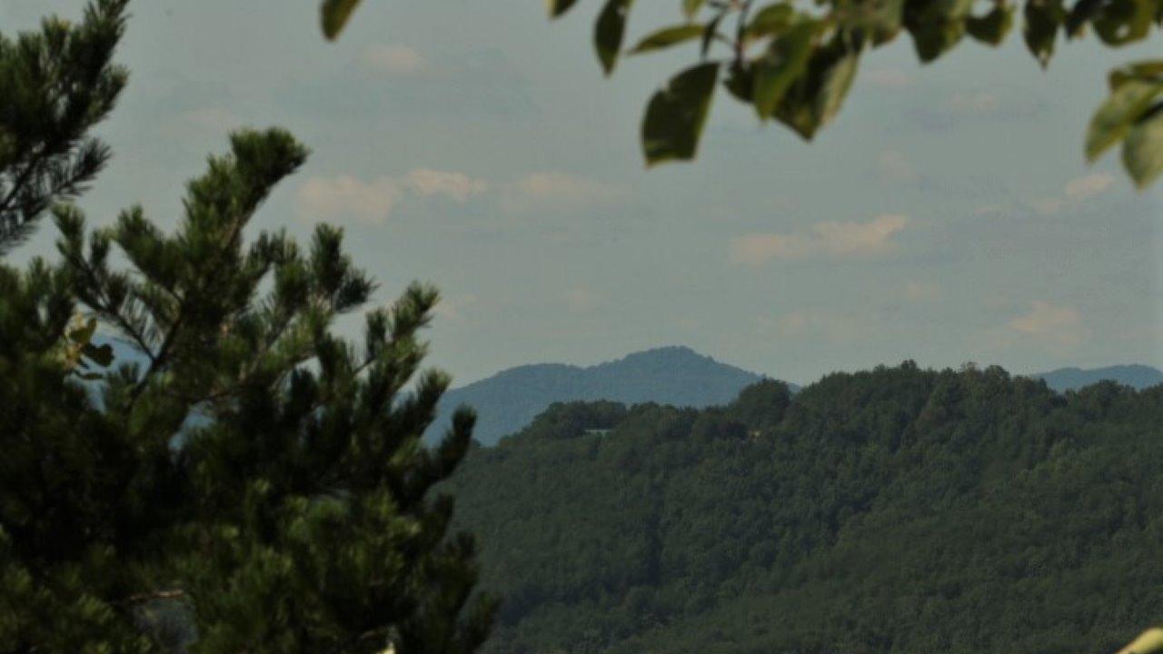 1 Wiggins Road Tellico Plains, TN 37385 - Photo 17 of 19 IMG_5058