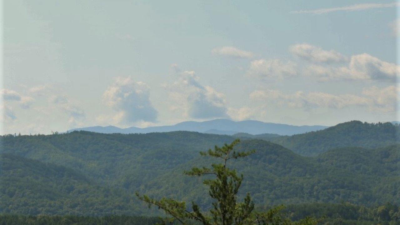 1 Wiggins Road Tellico Plains, TN 37385 - Photo 7 of 19 IMG_5045