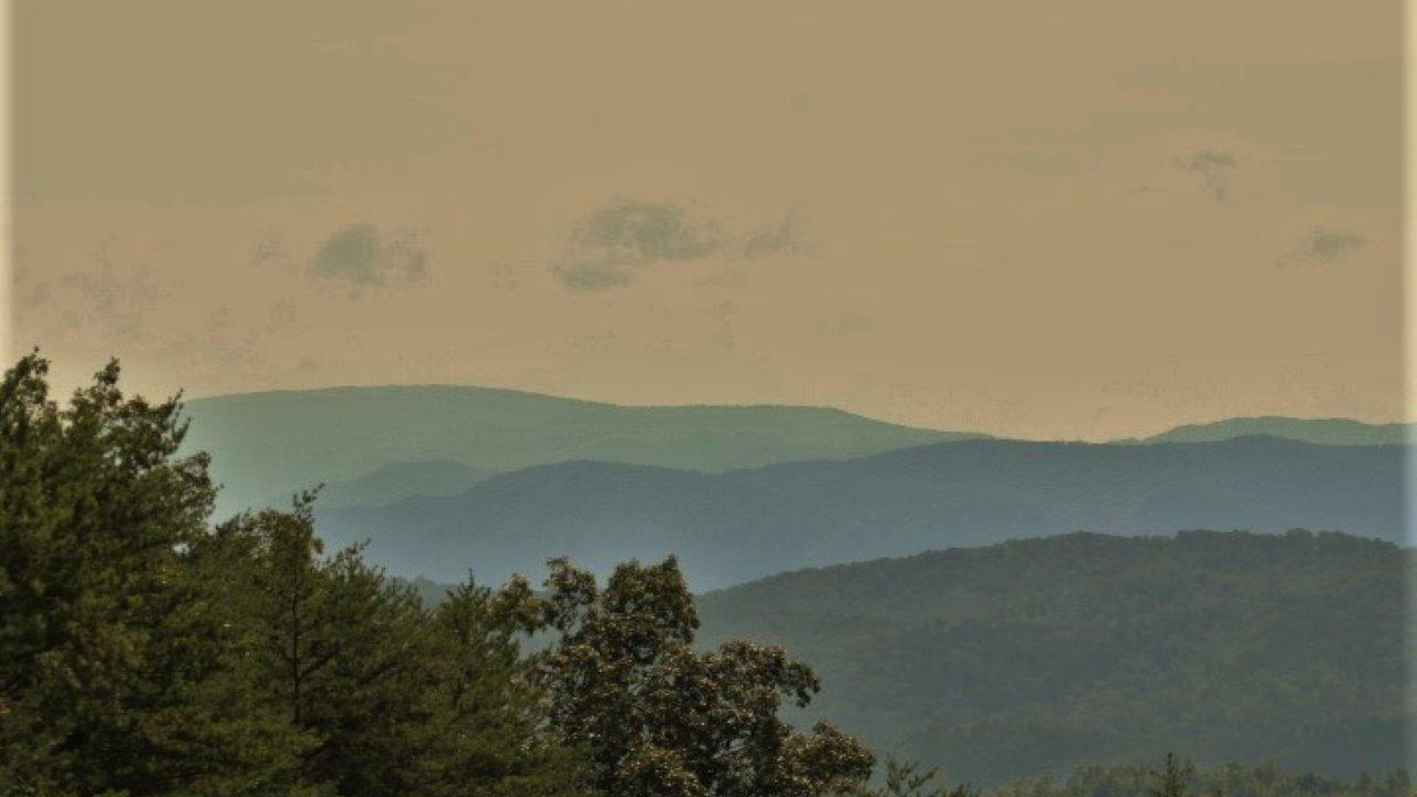 1 Wiggins Road Tellico Plains, TN 37385 - Photo 10 of 19 IMG_5048
