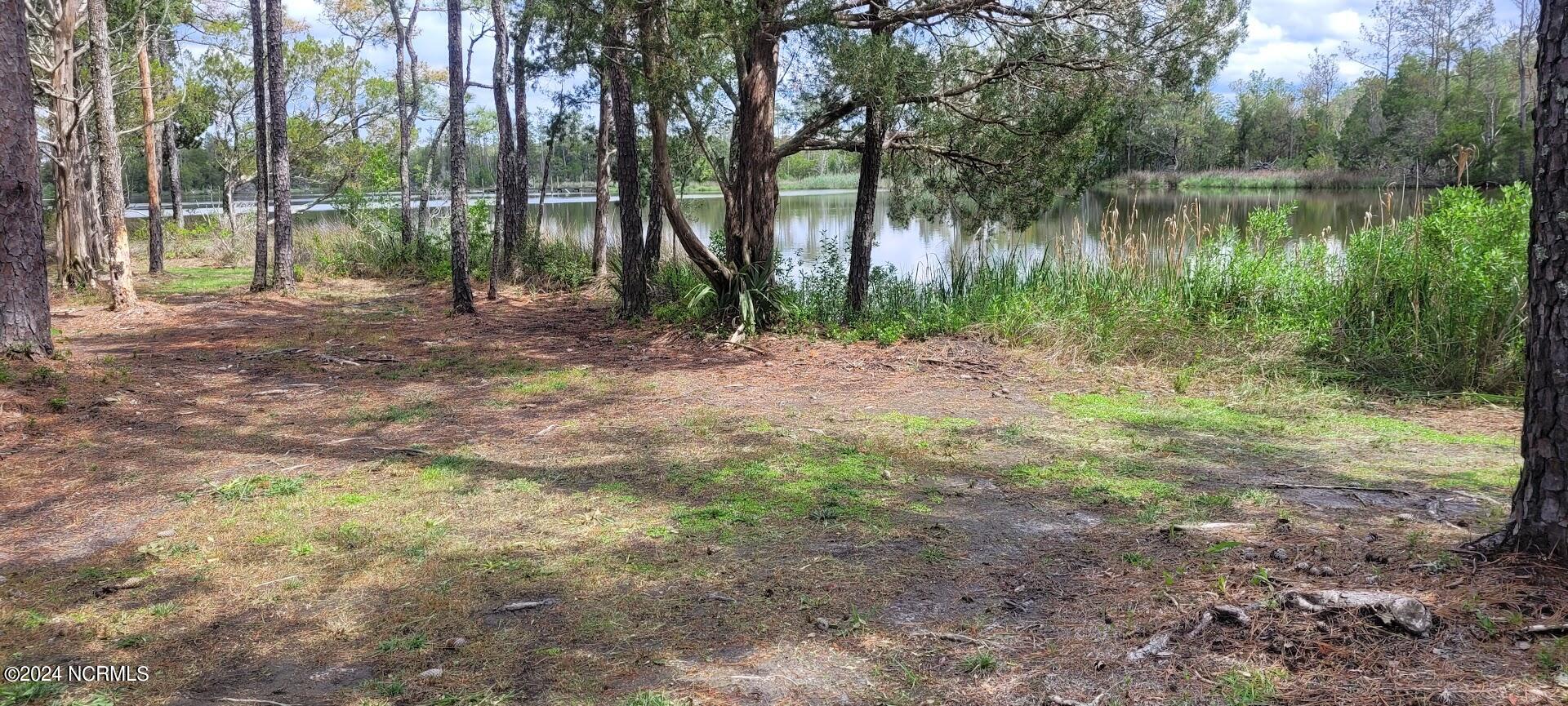 170 Bear Creek Road Mesic, NC 28515 - Photo 5 of 15 Front Creek View
