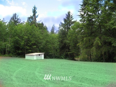 243 Stamper Road Elma, WA 98541 - Photo 8 of 12 Gallery Image 8