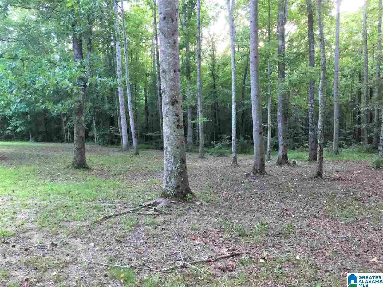 9255 County Road 65 Fruithurst, AL 36262 - Photo 38 of 44