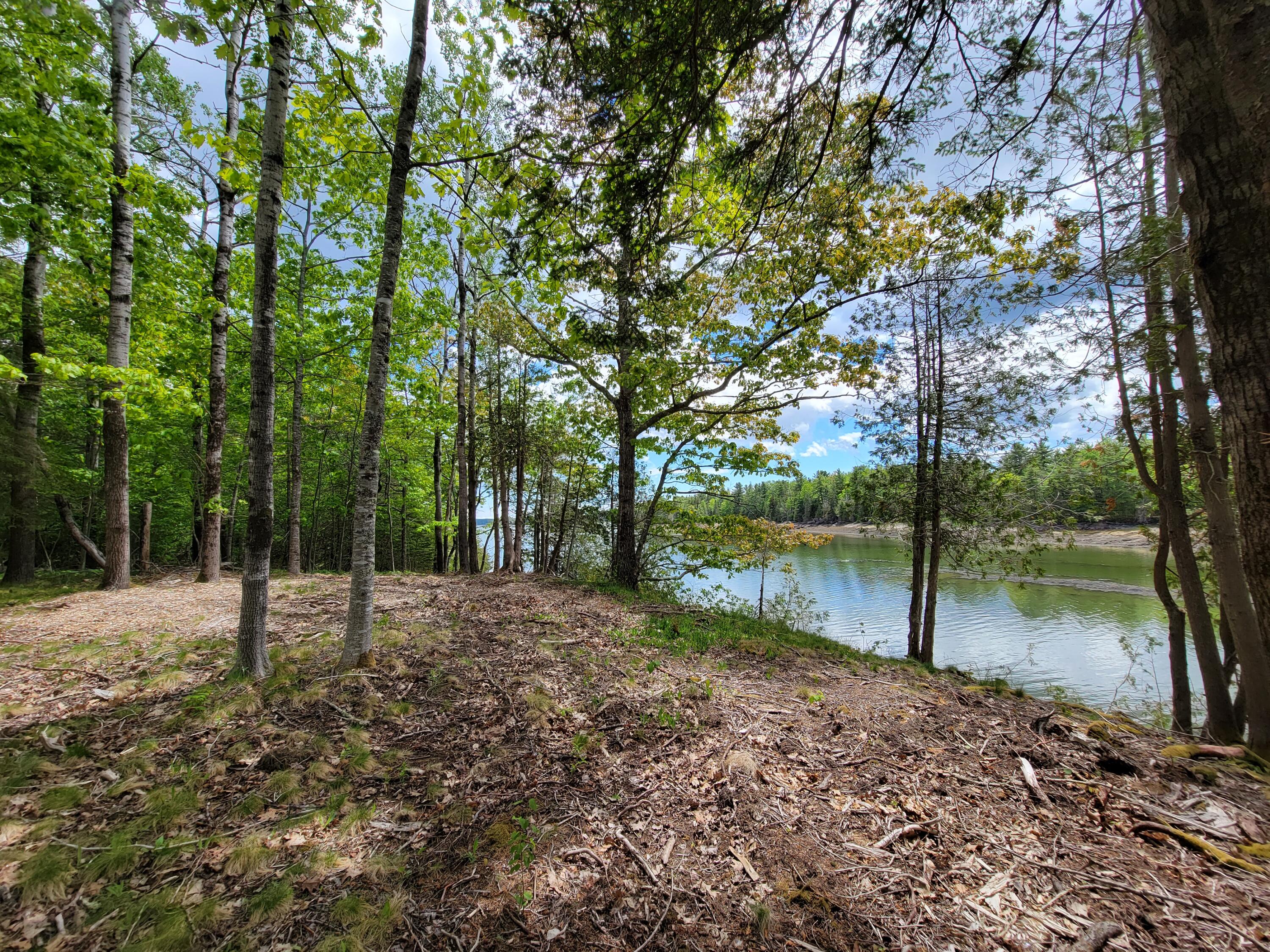 87 Hardy Point Road Pembroke, ME 04666 - Photo 6 of 13 20220605_125740