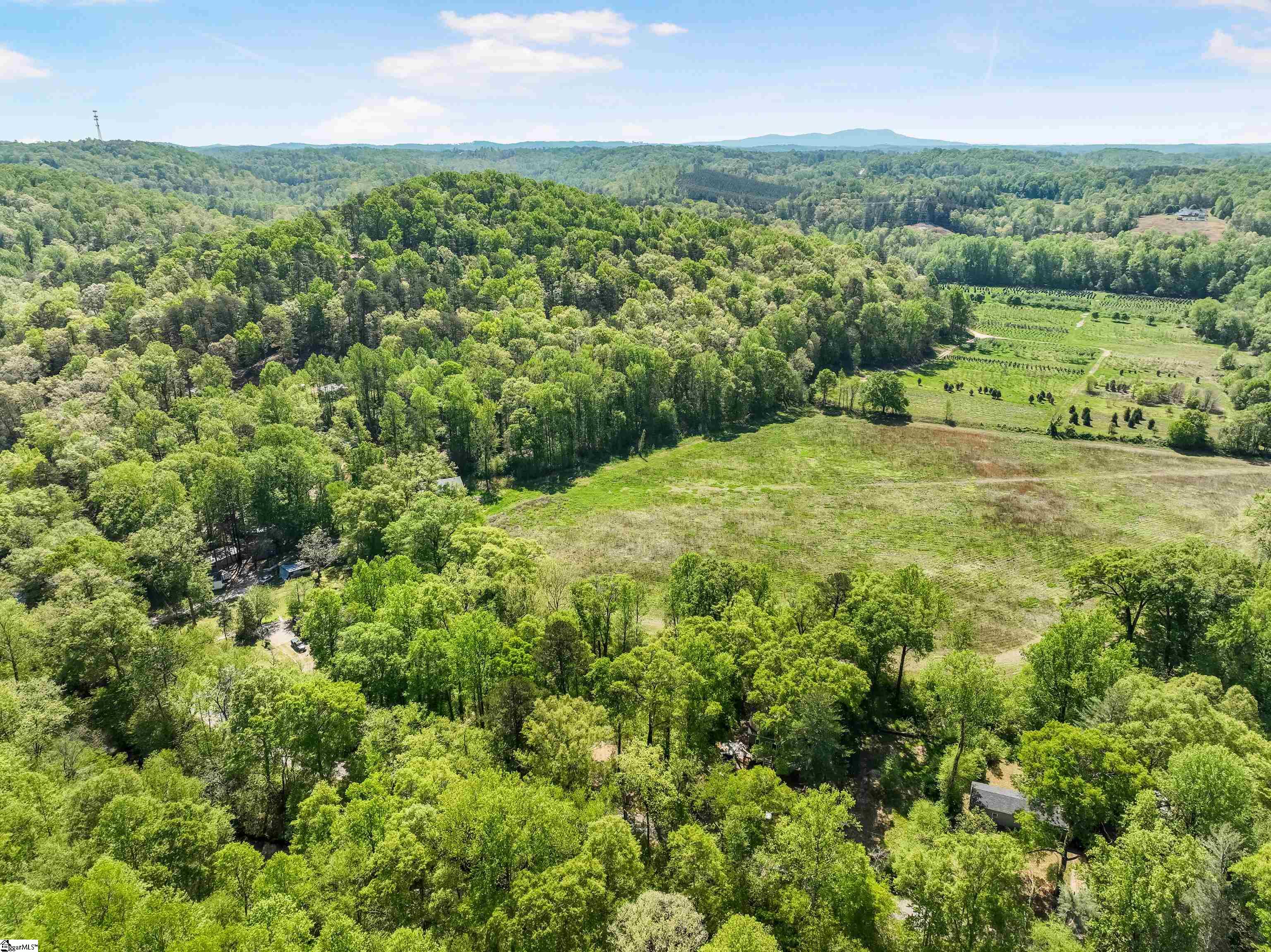 421 Silver Shoals Road Marietta, SC 29661 - Photo 3 of 16 Gallery Image 3