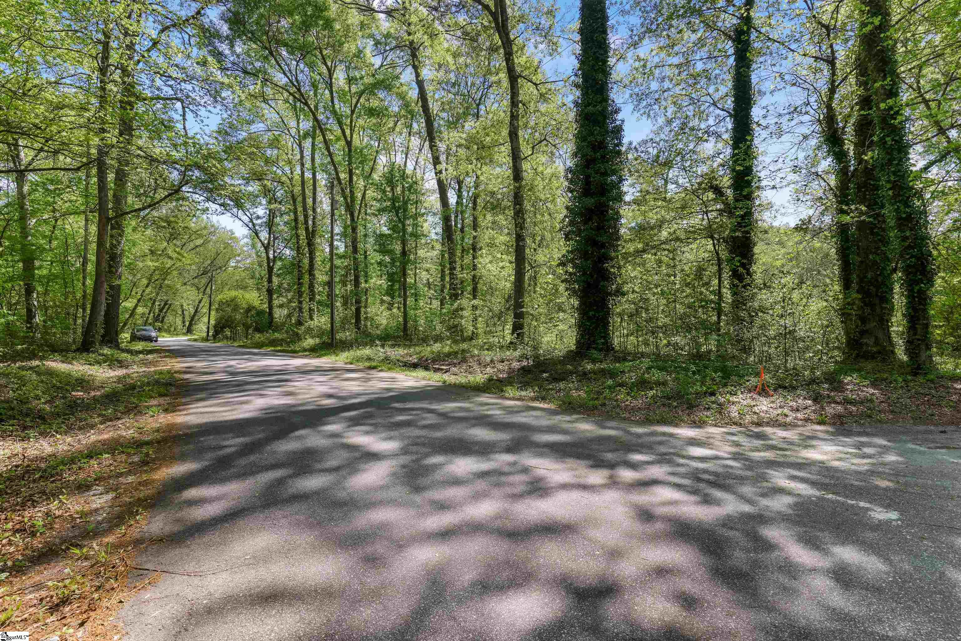 421 Silver Shoals Road Marietta, SC 29661 - Photo 8 of 16 Gallery Image 8