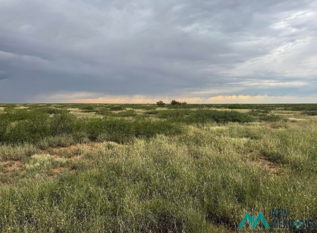 0 Dona Ana Road Roswell, NM 88201 - Photo 7 of 16 Gallery Image 7