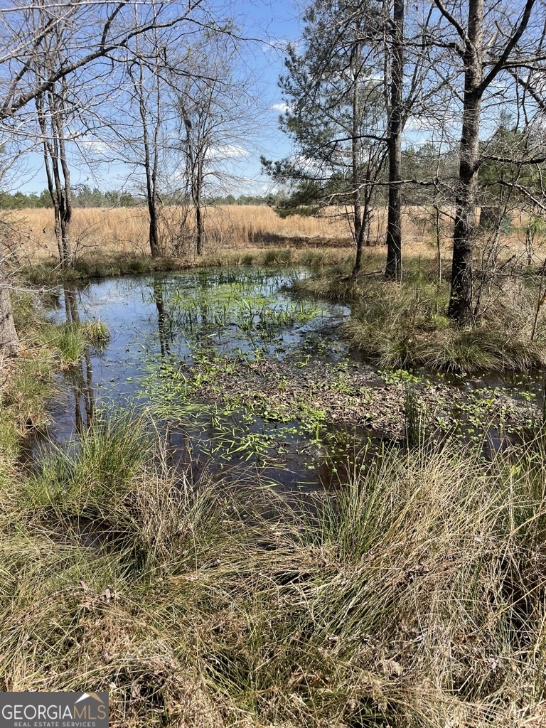 0 Minor Thomaston, GA 30286 - Photo 11 of 32