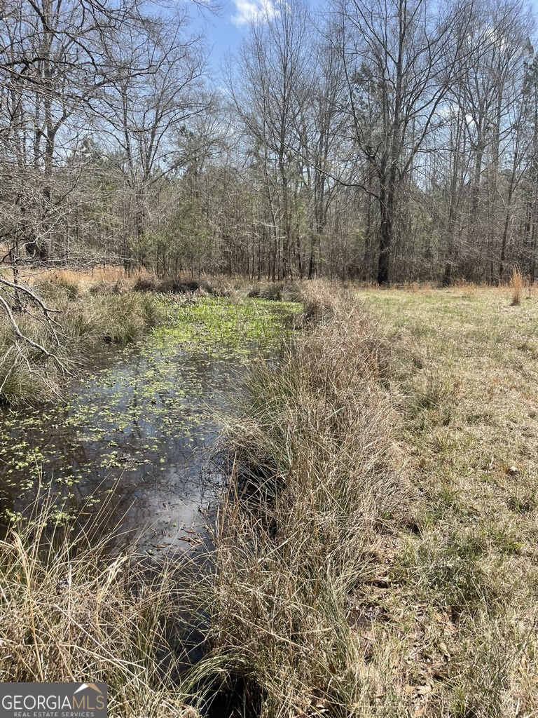 0 Minor Thomaston, GA 30286 - Photo 12 of 32