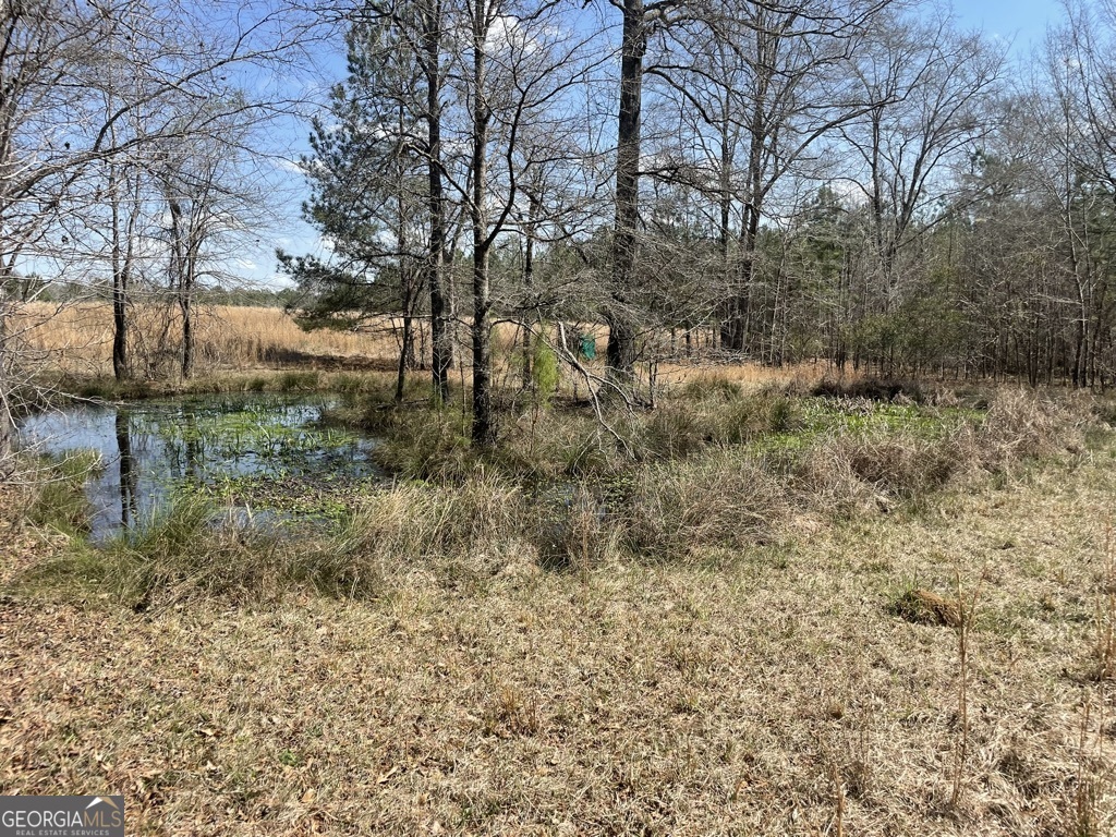 0 Minor Thomaston, GA 30286 - Photo 13 of 32