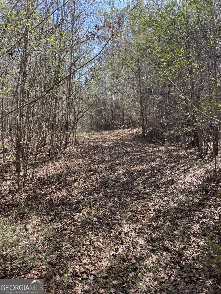 0 Minor Thomaston, GA 30286 - Photo 14 of 32