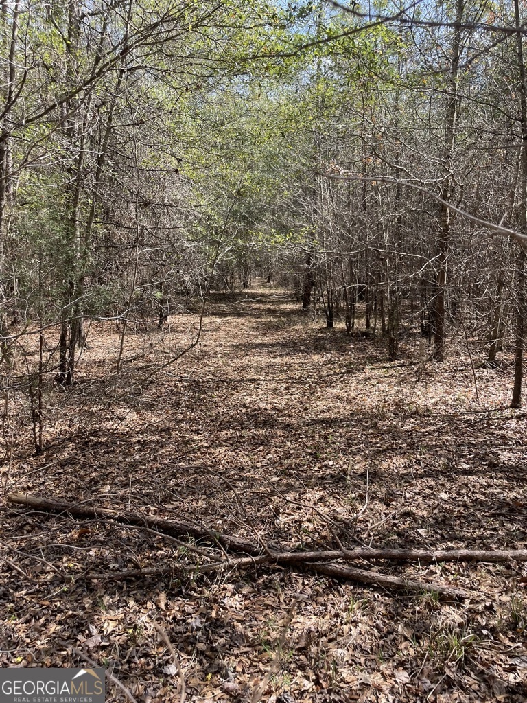 0 Minor Thomaston, GA 30286 - Photo 15 of 32