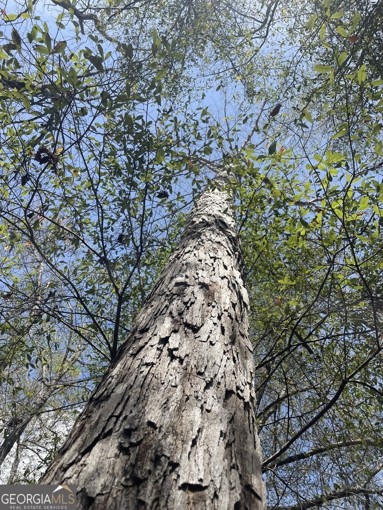 0 Minor Thomaston, GA 30286 - Photo 17 of 32