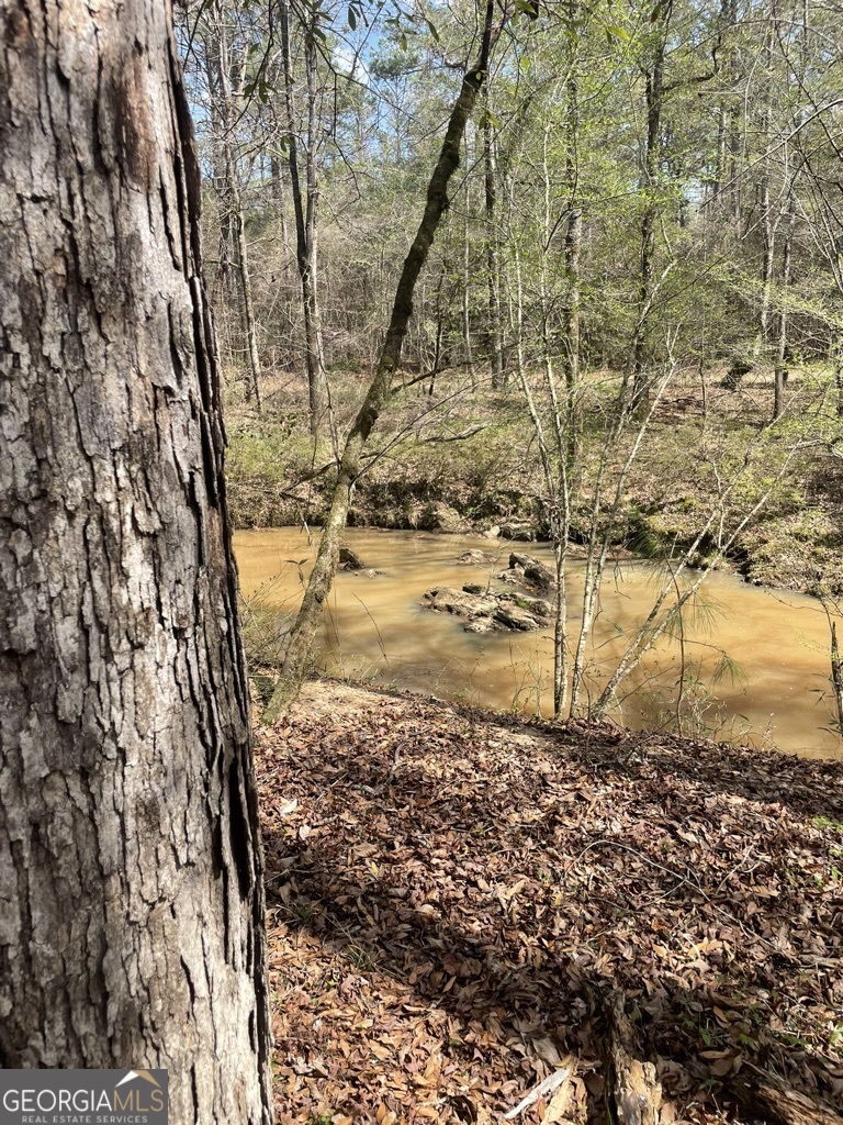 0 Minor Thomaston, GA 30286 - Photo 18 of 32