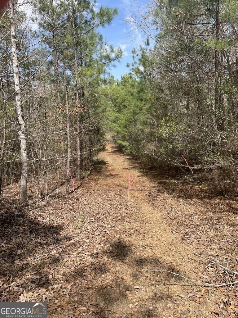 0 Minor Thomaston, GA 30286 - Photo 19 of 32